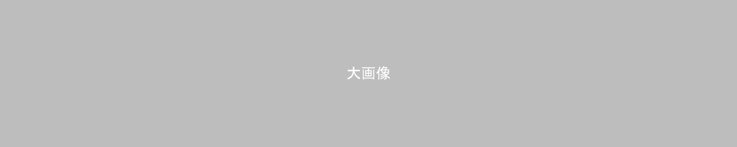 成人式の振袖・着物|安城市の きもの和楽 かね宗|着付・レンタル