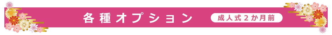 各種オプション|成人式の振袖・着物｜安城市の きもの和楽 かね宗｜着付・レンタル