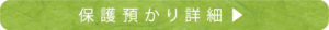 保護預り詳細