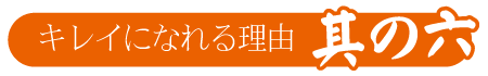 |成人式の振袖・着物｜安城市の きもの和楽 かね宗｜着付・レンタル