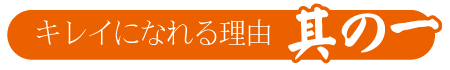 |成人式の振袖・着物｜安城市の きもの和楽 かね宗｜着付・レンタル