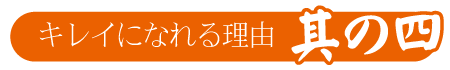 |成人式の振袖・着物｜安城市の きもの和楽 かね宗｜着付・レンタル