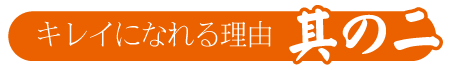 |成人式の振袖・着物｜安城市の きもの和楽 かね宗｜着付・レンタル