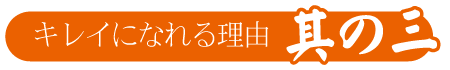 |成人式の振袖・着物｜安城市の きもの和楽 かね宗｜着付・レンタル