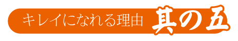 |成人式の振袖・着物｜安城市の きもの和楽 かね宗｜着付・レンタル