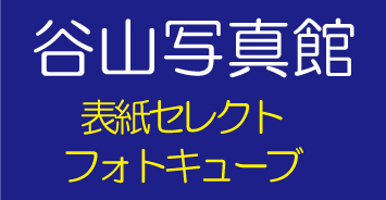 成人式の振袖・着物｜安城市の きもの和楽 かね宗｜着付・レンタル